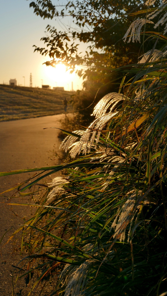 荒川河原の夕日