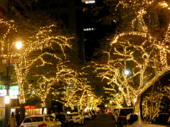 人より車桜道りの染井吉野の街路樹を利用したイルミネーション