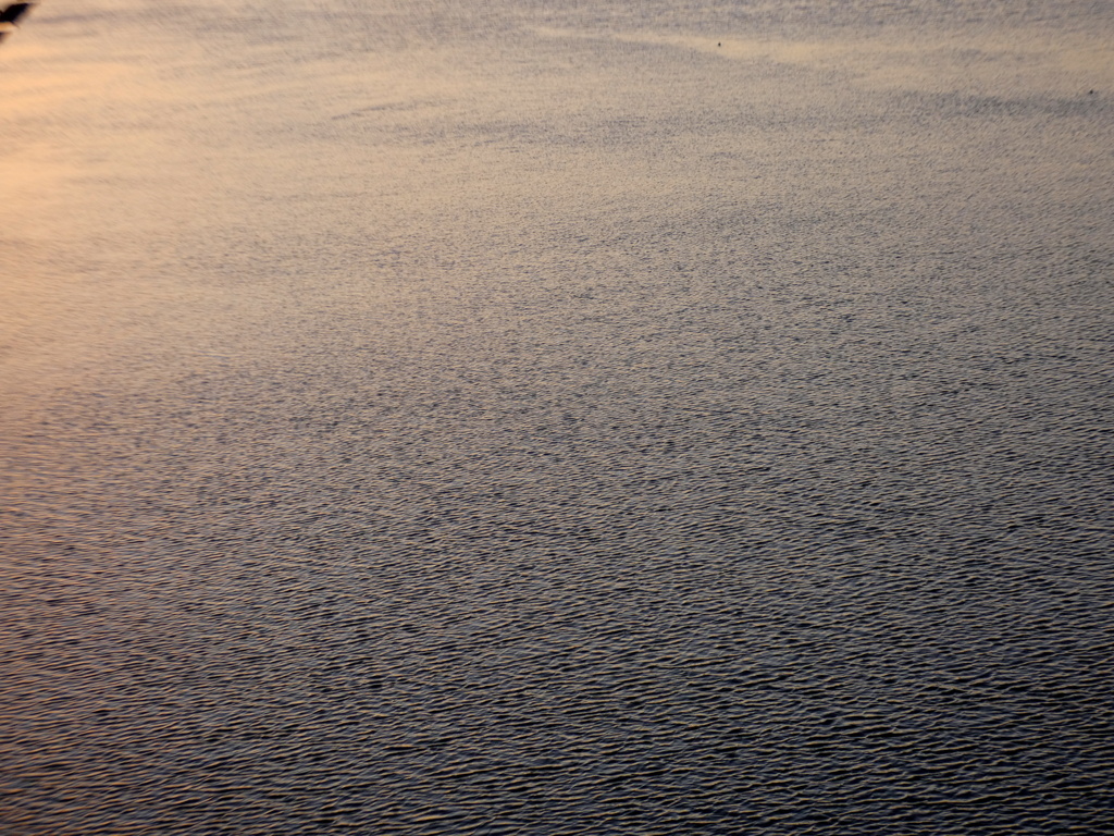 落日の荒川の静かなさざ波