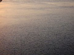 落日の荒川の静かなさざ波