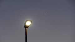 街灯に明星