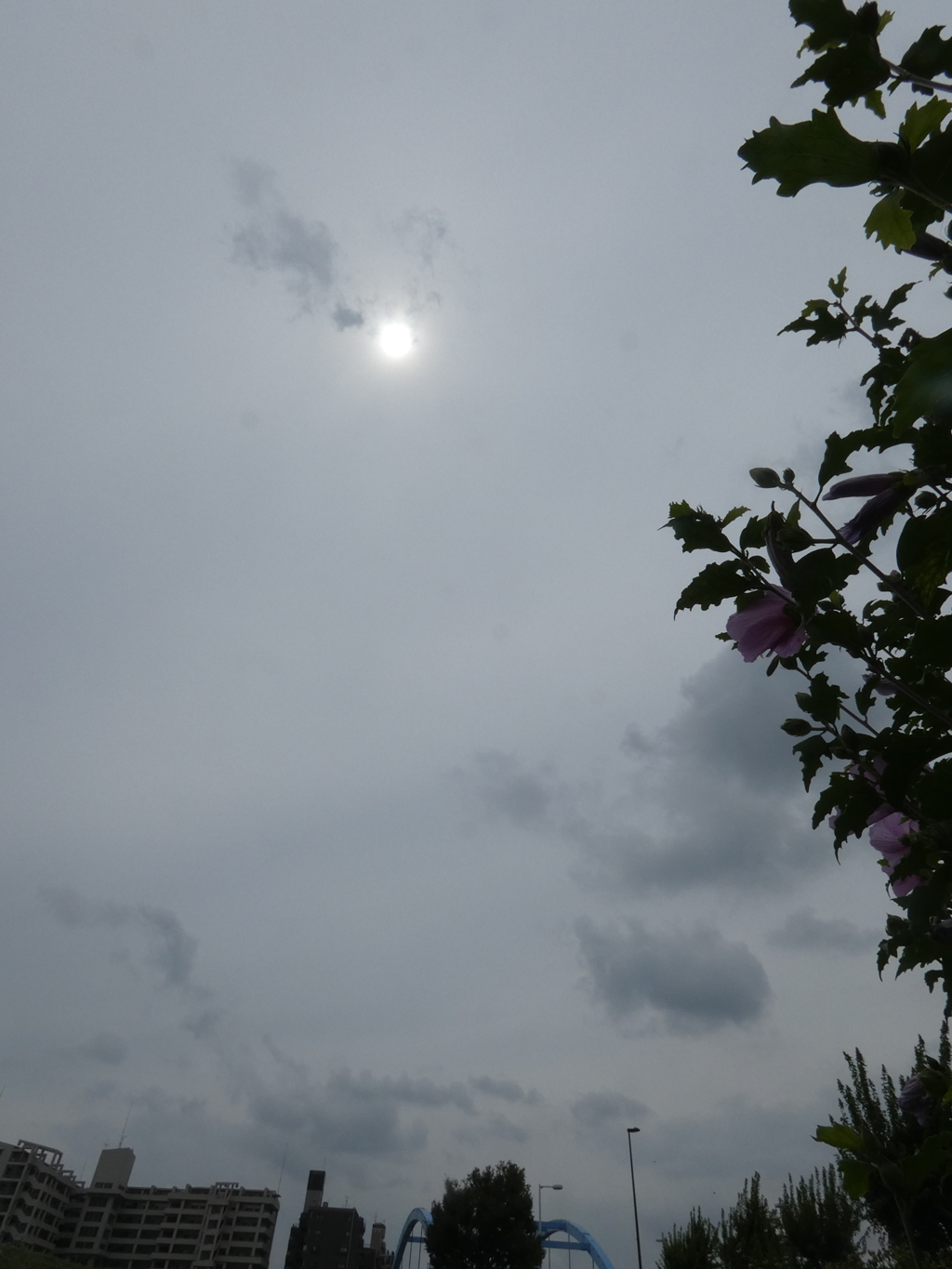 こういう天気は、うすぐもりかな？