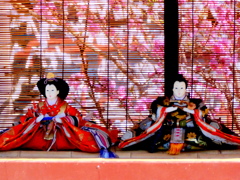 素戔嗚神社の雛人形