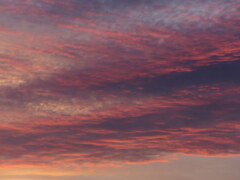 荒川土手の夕焼け雲