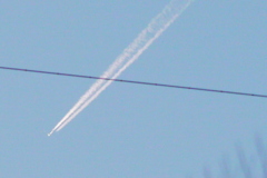 荒川土手から電線を横切る飛行機雲