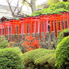 根津神社の朱塗りのつながりの稲荷鳥居