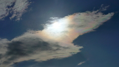 隅田川の上太陽を隠す