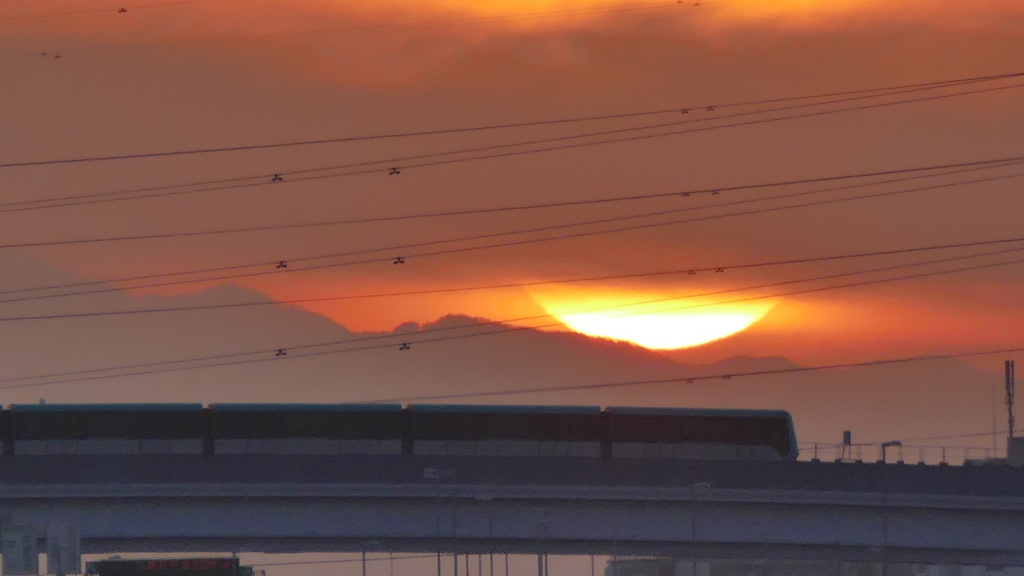 有間山を転がる
