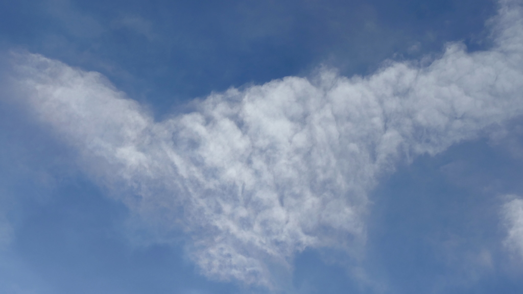 あさのクロワッサン