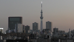 ’２３新春の荒川土手からの夜景３