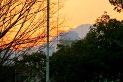 千住大川町の氷川神社の森に夕方の富士山のシルエット