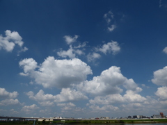 荒川の高速の高架上の群れ雲