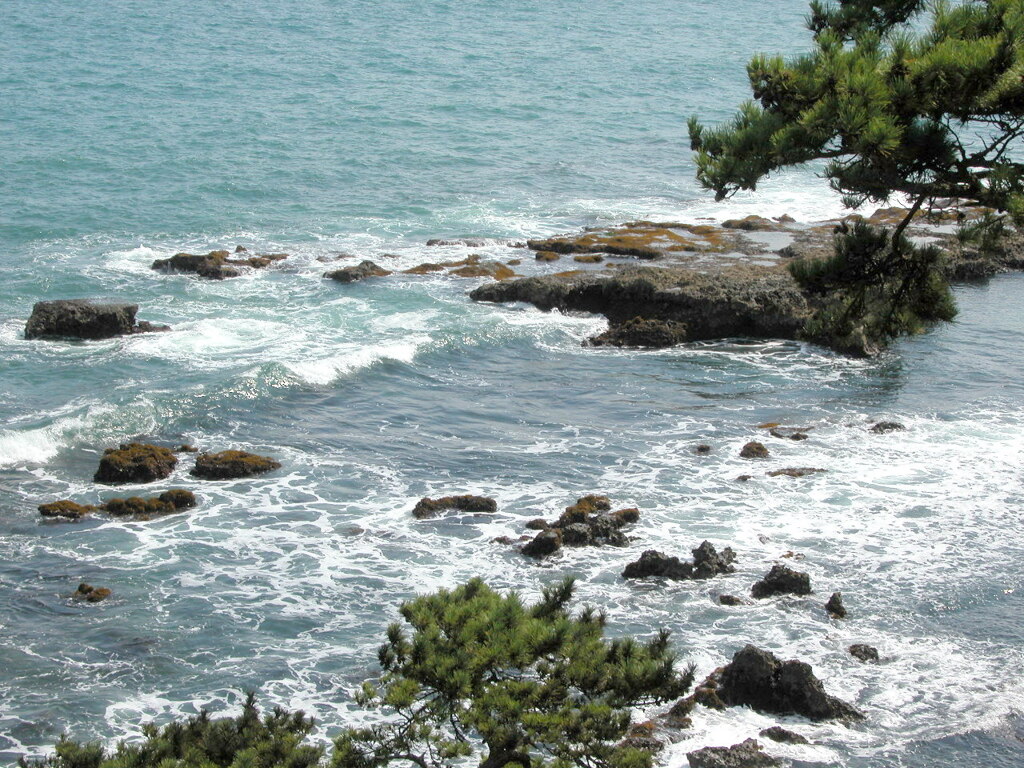 五浦の海岸の岩に打ち寄せる波