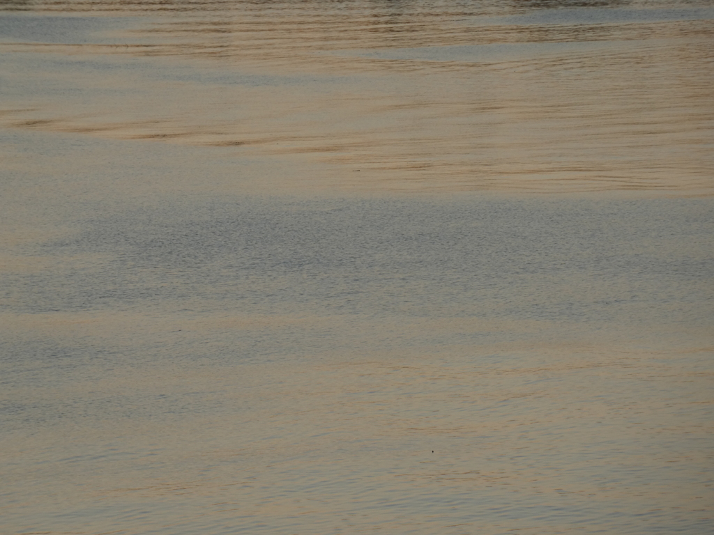 夕方のカラー３