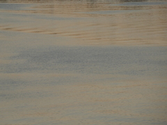 夕方のカラー３