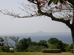 モモタマナの木陰から沖縄の美ら海