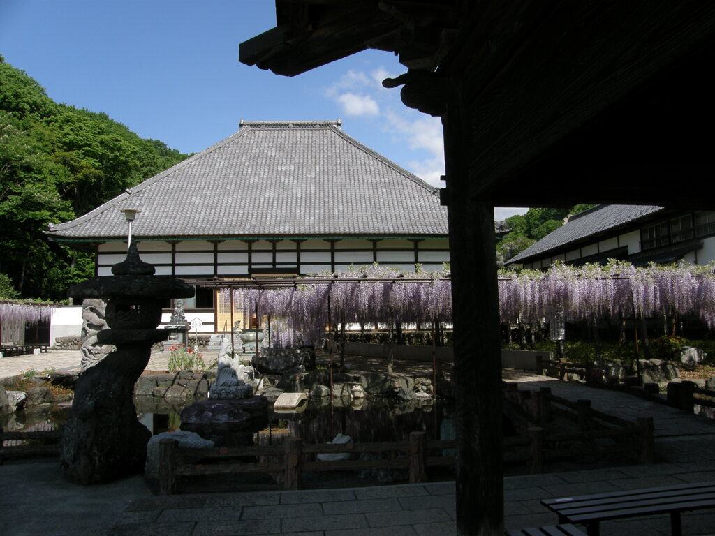 長泉寺の如王門～骨波田の藤