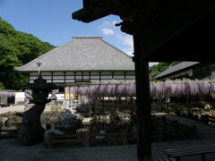 長泉寺の如王門～骨波田の藤