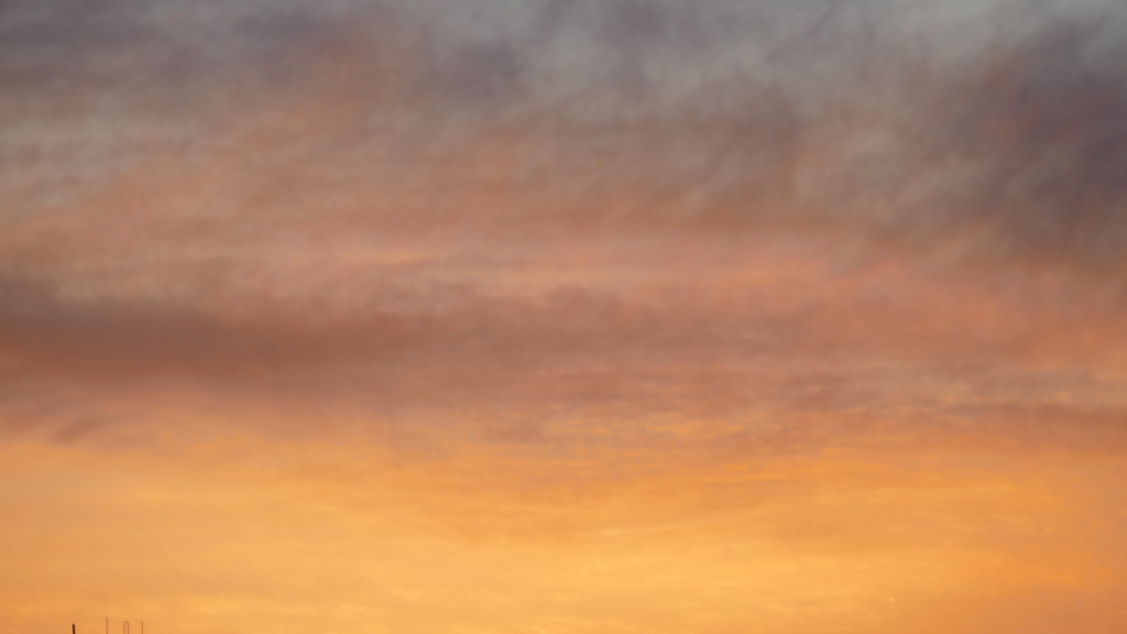 隅田川尾竹橋の上の夕焼