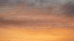 隅田川尾竹橋の上の夕焼