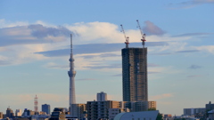 隅田川下流