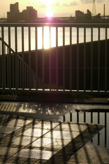 雨上がりの尾竹橋隅田川テラスの夕日