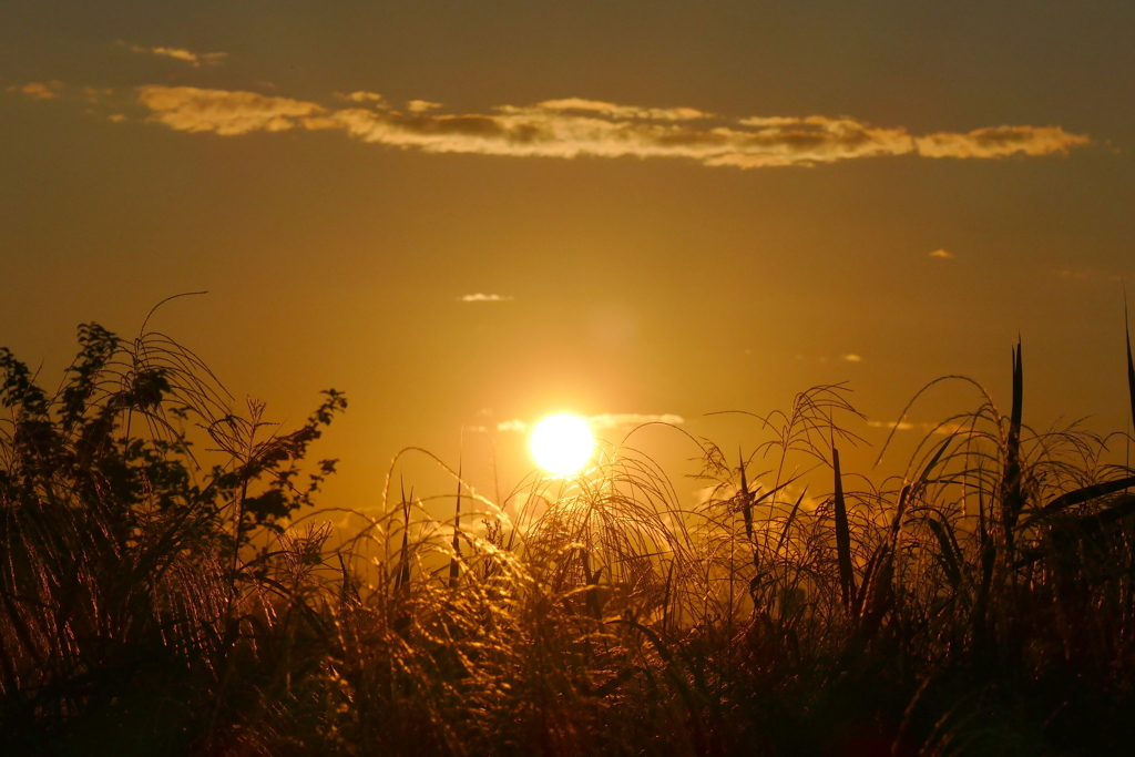 荒川河原の秋の雲と夕日