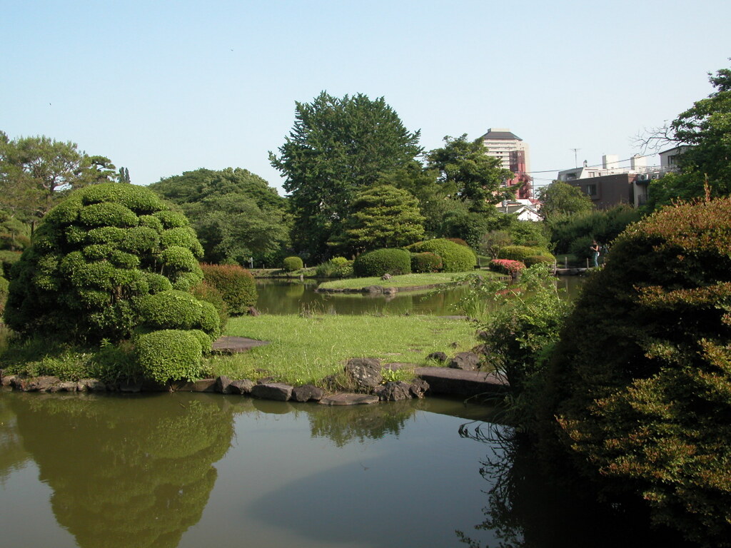 小石川植物園の池１