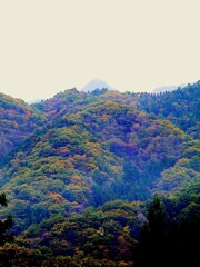 少し色着いた群馬沢渡の山