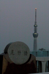 尾竹橋公園テラスから東京スカイツリー