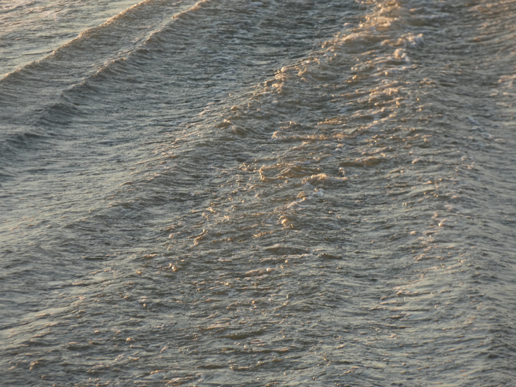 夕日に輝く船の波紋