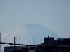’22新春の金八土手からの富士山