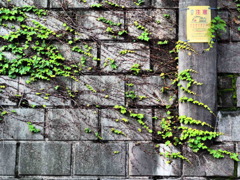 侵略