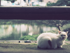 「勝手に撮るなや」