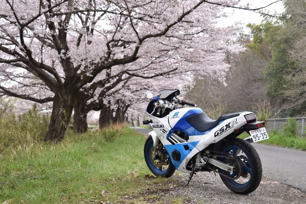 R250との思い出