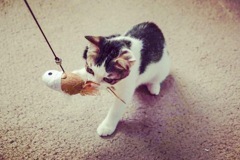 C3F3691C-9C2E-4E10-A972-16F04CFFB03E