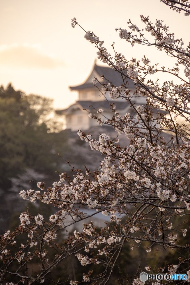 夕暮れ