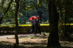 赤い日傘
