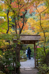秋を楽しむ