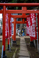 鳥居と動物③