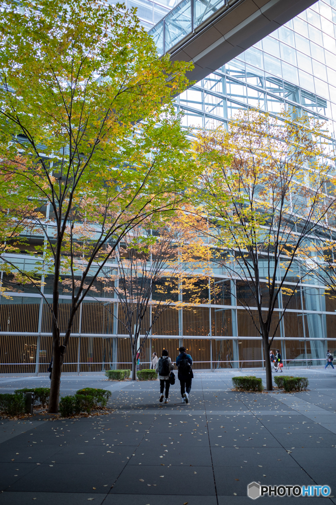 Autumn in Tokyo