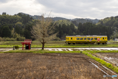 赤い祠と黄色い電車