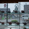 外は、雨
