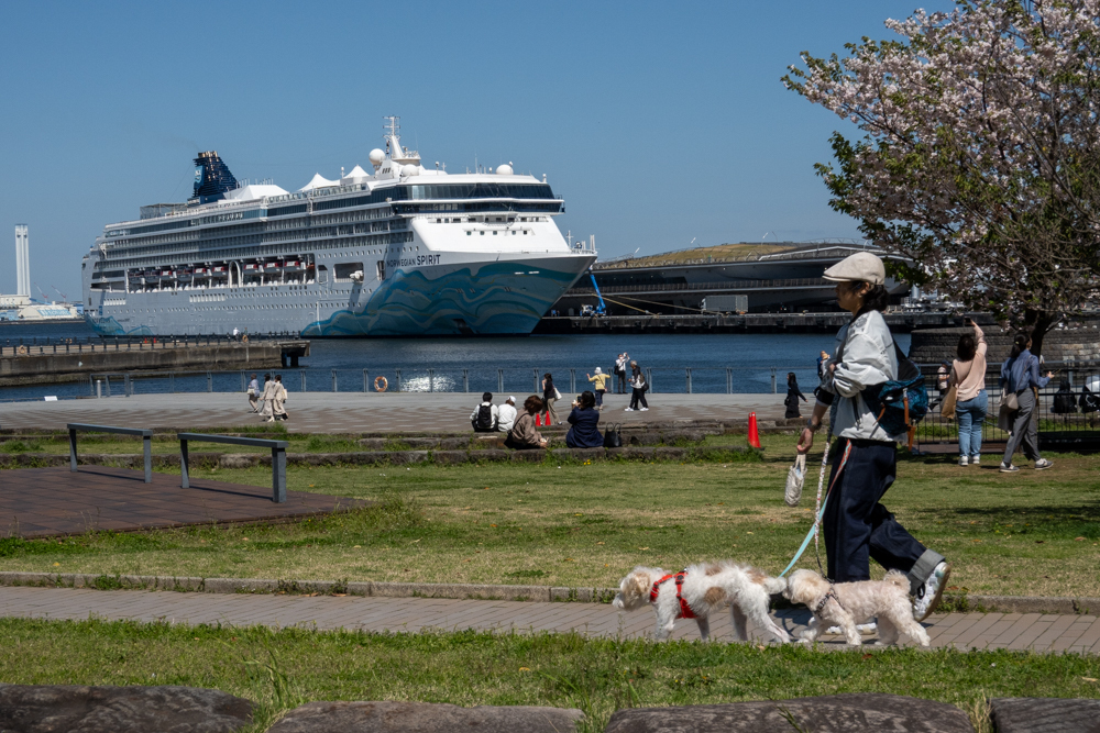 客船が来る港