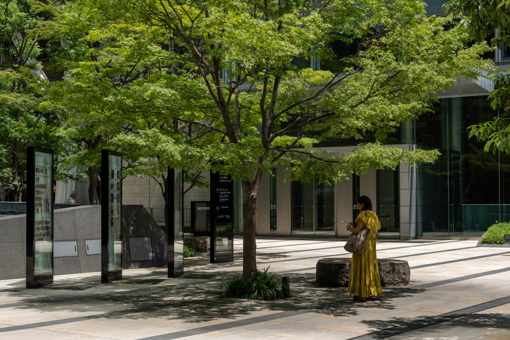 日差しを避けて