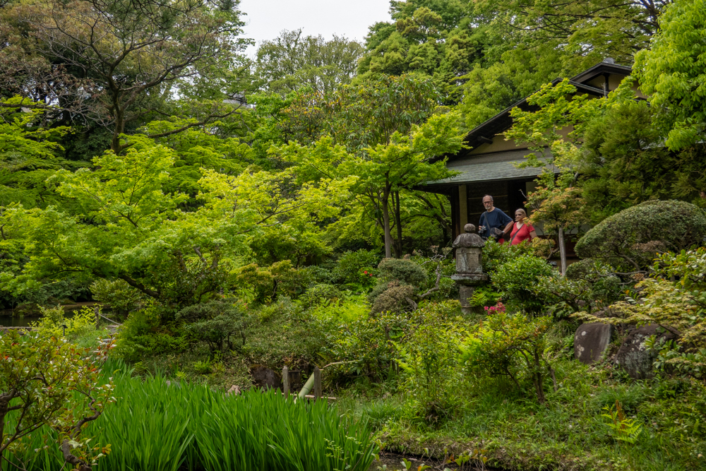 新緑の日本庭園