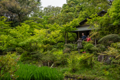 新緑の日本庭園