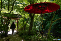 くつろぎの日本庭園