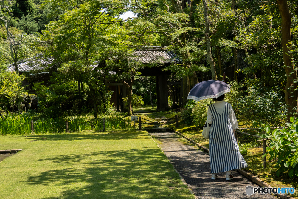 日差しを避けて