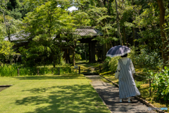 日差しを避けて